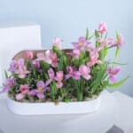 Pink Harmony Floral Creation with Ferrero Rocher Combo 2 02