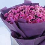 Mystic Violet Chrysanthemum 3 02