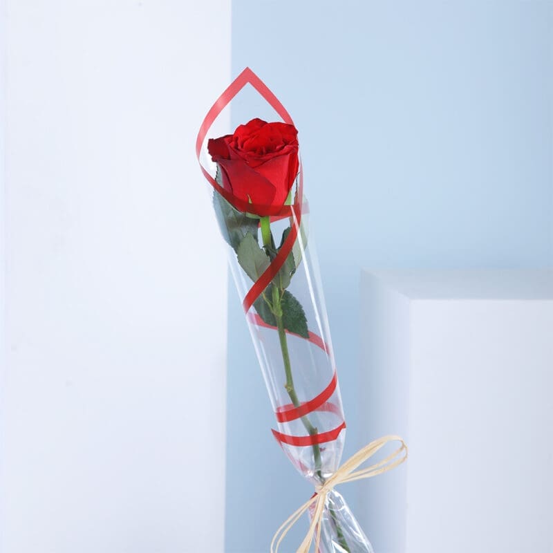 02 A single red rose wrapped in clear cellophane with a white ribbon.