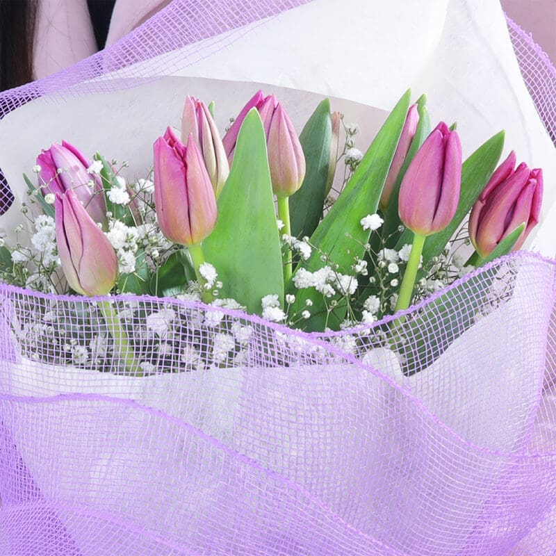 03 03 51