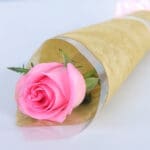 8pcs Gentle Pink Rose Elegance 4 04