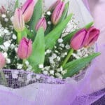 Lilac Tulips 3 04