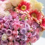 Harmony Blossom Box 4 04