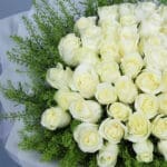 Pure White Rose Bliss Bouquet 5 05