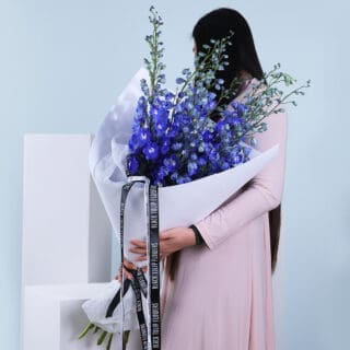 Delphinium Dreamscape Bouquet