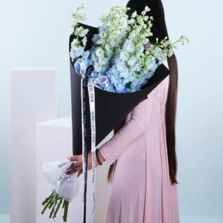 Delphinium Symphony