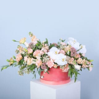 Ethereal Box of Pastels