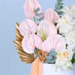 Exotic & Lush Delight Box 2 02