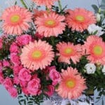 Charming Lush Flower Box 3 03
