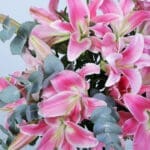 Fresh Grace Pink Lilies in Vase 3 04