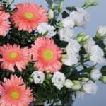 Charming Lush Flower Box 4 04