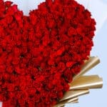 Heart Felt Red Rose 4 04