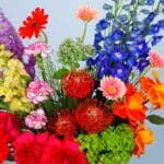 Vibrant Elegance Flower Box 2 04