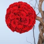 Majestic Round Rose 3 03
