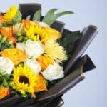 Sunflower Sensation 2 2