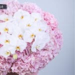 Gentle Floral Blush Box 2 2