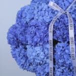 Cerulean Floral Delight Arrangement 4 3