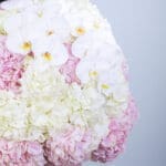 Soft Ivory Hydrangea & Phalaenopsis Orchid Box 3 3