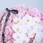 Gentle Floral Blush Box 4 4