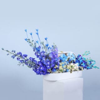 Serene Blue Beauty
