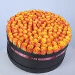 Orange Symphony - Grand Box 3 2 (101)