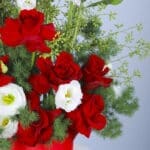 Crimson Hat Box 3 3 (99)