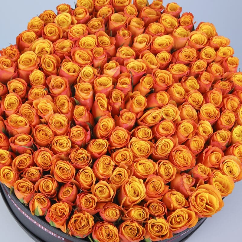 4 (81) Box of 100 orange roses top view