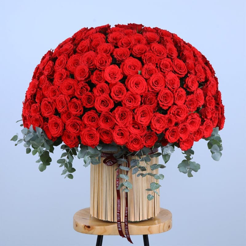 Crimson Elegance Rose Box A luxurious gift of love: a massive bouquet of 300 red roses in a woven basket with eucalyptus accents.
