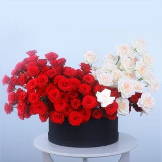 Round box of 250 red roses and 50 white Ohara roses.