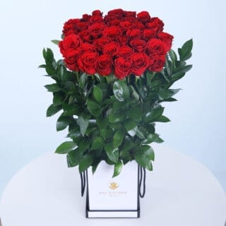 Timeless Red Roses