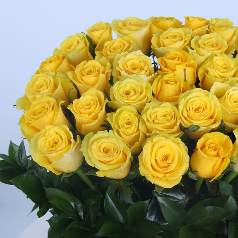 04 - Yellow Rose Delight 04 80
