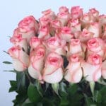 Luxury Jumelia Roses Box Mini 4 04 - Luxury Jumelia Roses Box