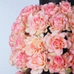 Luxurious 3-Tier Pink Rose Arrangement 3 03