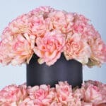 Luxurious 3-Tier Pink Rose Arrangement 2 04