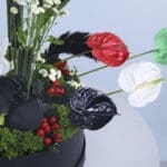 Flag-Themed Orchid & Anthurium Box 3 2 (4)