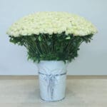 Majestic White Roses – 500 Stems in Vase 1 Majestic-White-Roses