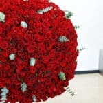 1500 Red Roses in Majestic Vase 2 02