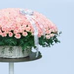 Grand 500 Pink Roses Display 4 03