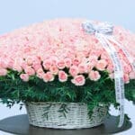 Grand 500 Pink Roses Display 2 04