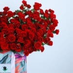 Charming 60 Red Roses Bag 4 04