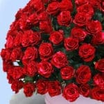 250 Red Rose Luxury Box 4 04