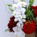 Luxurious Red & White Basket 4 04