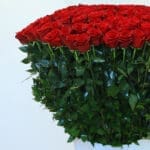 365 Red Roses - Love Every Day 4 04