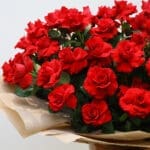 Grand Red Rose Bouquet 4 04