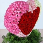 Love Heart of Roses 5 05