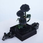 Black Trio Forever Rose 4 Black Trio Forever Rose
