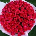 Blooming Grace Roses 2 03