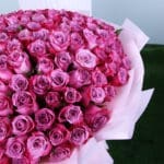 Enchanted Purple Roses 4 04
