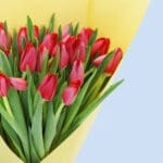 Red Tulips Hand-Tied Bouquet 4 03