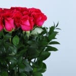 Elegant Dark Pink Roses 4 03
